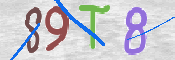 Immagine CAPTCHA