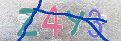 Immagine CAPTCHA