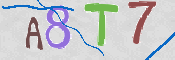 Immagine CAPTCHA