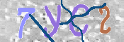 Immagine CAPTCHA