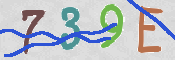 Immagine CAPTCHA