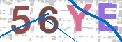 Immagine CAPTCHA