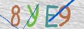 Immagine CAPTCHA