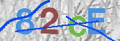 Immagine CAPTCHA
