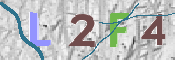 Immagine CAPTCHA