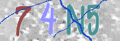 Immagine CAPTCHA