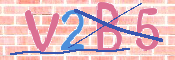 Immagine CAPTCHA