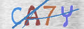 Immagine CAPTCHA