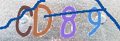 Immagine CAPTCHA