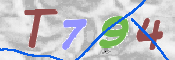 Immagine CAPTCHA