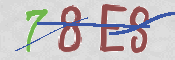 Immagine CAPTCHA