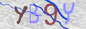 Immagine CAPTCHA