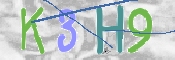 Immagine CAPTCHA