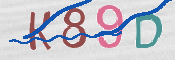 Immagine CAPTCHA