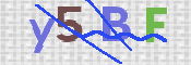 Immagine CAPTCHA