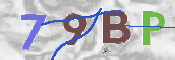 Immagine CAPTCHA