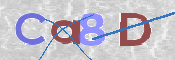 Immagine CAPTCHA