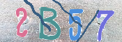 Immagine CAPTCHA