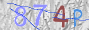 Immagine CAPTCHA