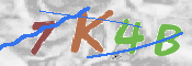 Immagine CAPTCHA