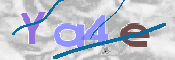 Immagine CAPTCHA