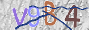 Immagine CAPTCHA